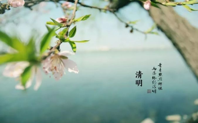 清明 || 雨紛紛，思故人