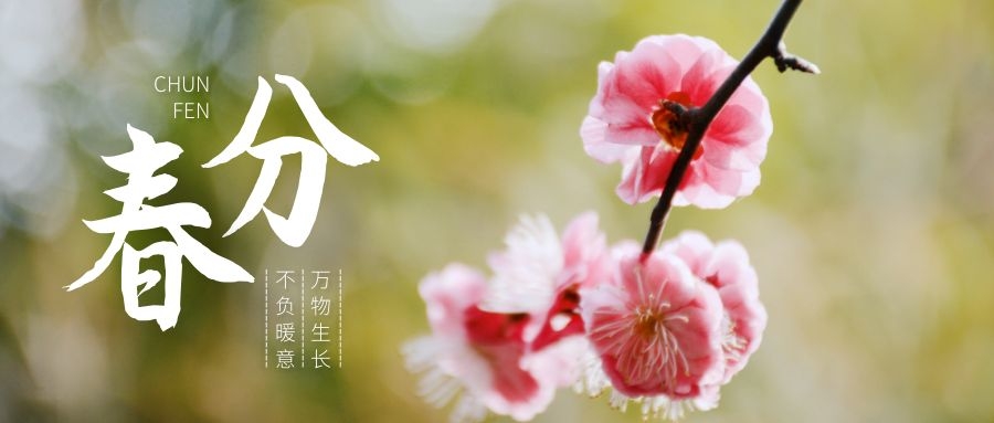 春分時節(jié)萬物生長，這份養(yǎng)生寶典一定要收藏！